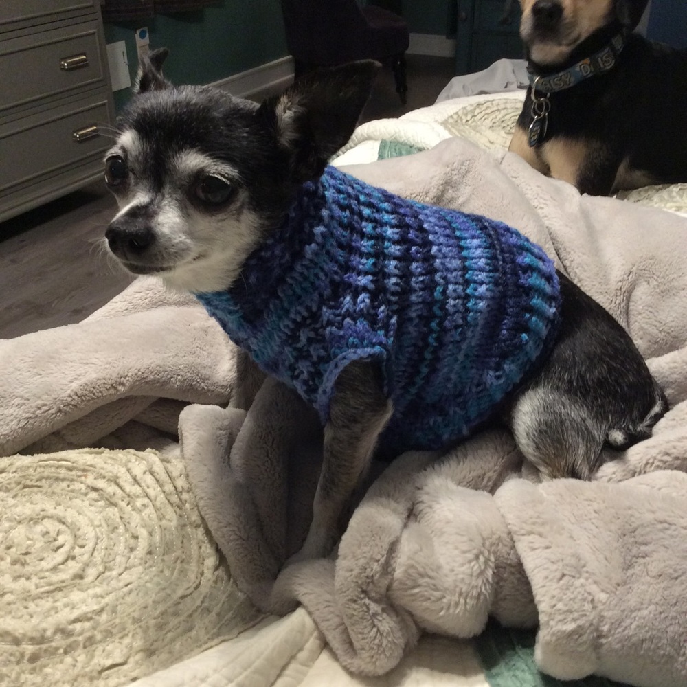 Extra small hand knit dog sweater